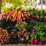 Growing Vegetables From Scratch